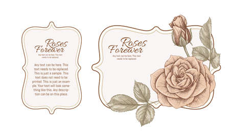 Set of face and back labels, stickers for food products or cosmetics in engraving, vintage, old, retro shabby chic style.. Stock vector illustration.のイラスト素材