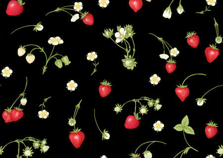 Strawberry. Ripe berries. Seamless pattern, background. Vector illustration. In botanical style On black background.のイラスト素材