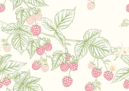 Raspberry. Ripe berries on branch. Seamless pattern, background. Graphic drawing, engraving style. Vector illustration on black background.のイラスト素材
