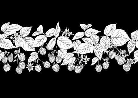 Raspberry. Ripe berries on branch. Seamless pattern, background. Outline drawing. Vector illustration in black and white colorsのイラスト素材