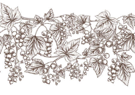 Blackcurrant, redcurrant. Ripe berries. Seamless pattern, background. Vector illustration.のイラスト素材