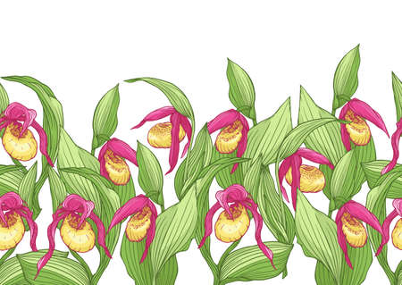 Ladys slipper orchid. Seamless pattern, background. Vector illustration In botanical styleのイラスト素材