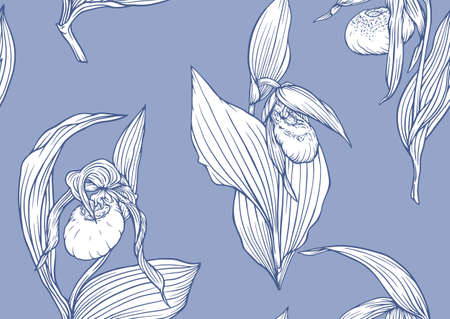 Ladys slipper orchid. Cypripedioideae. Seamless pattern, background. Vector illustration. In botanical style.のイラスト素材