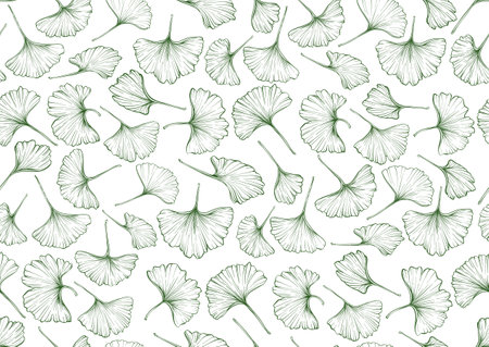 Ginkgo biloba leaves. Seamless pattern, background. Vector illustration. In botanical styleのイラスト素材