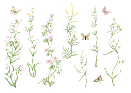 Wild flowers and butterflies Clip art, set of elements for design Vector illustration. In botanical styleのイラスト素材