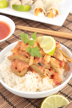 Thai chicken curry with spring rollsの写真素材
