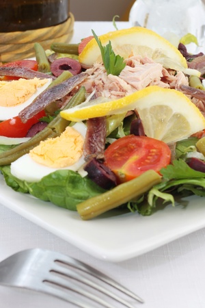 Nicoise Saladの写真素材