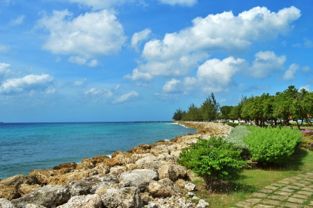 Caribbean Coastline, Barbadosの写真素材