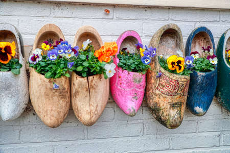 Traditional dutch clogs (klompen) wooden shoes as very colorful flower pots on brick wall background. Clouse up. My souvenirs from a Holland vacation. Ideas for country house decoration. Wall decorの写真素材