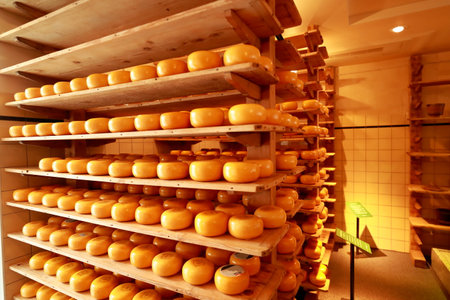 Volendam, North Holland, Netherlands - March 3, 2019: Cheese Making Process in Cheese Factory. Shelves with aging cheeseのeditorial素材