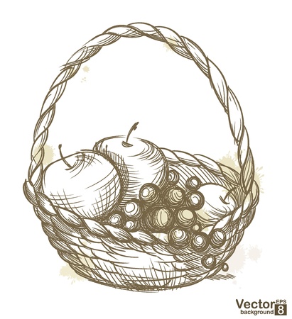 Basket with fruit  Vector illustration のイラスト素材