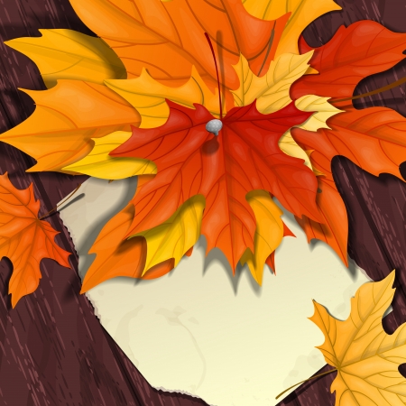 Autumn background with leaves.  の写真素材