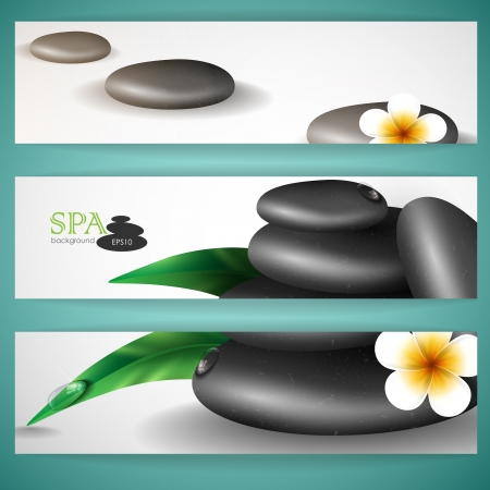 Spa stones with frangipani flower  のイラスト素材