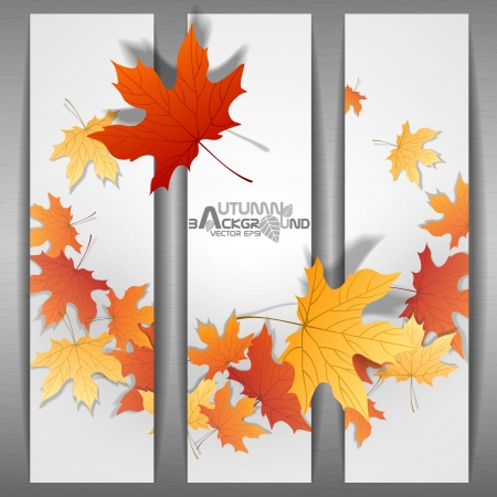 Autumn Leaves Background. Vector Illustration. Eps 10.のイラスト素材