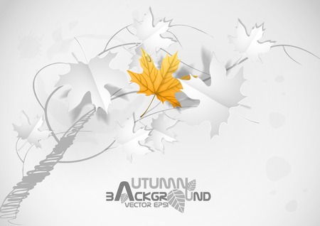 Autumn Leaves Background. Vector Illustration. Eps 10.のイラスト素材