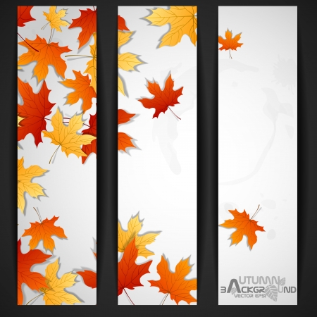 Autumn Leaves Background. Vector Illustration. Eps 10.のイラスト素材