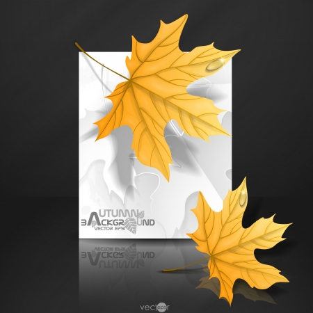 Autumn Leaves Background. Vector Illustration. Eps 10.のイラスト素材