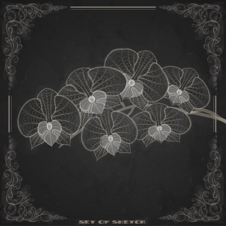 Stylized Drawing With Chalk On Blackboard. Vector Illustration.のイラスト素材