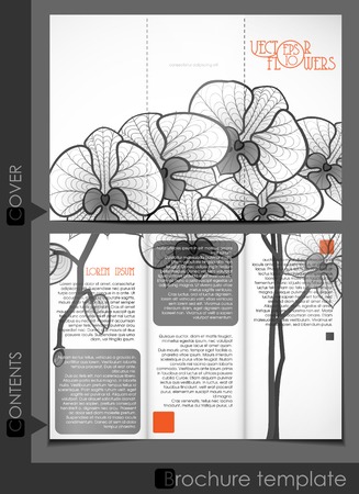 Brochure Template Design.  のイラスト素材