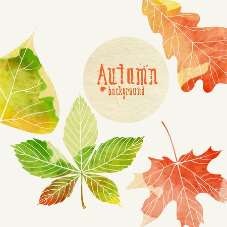 Autumn Background With Leavesのイラスト素材