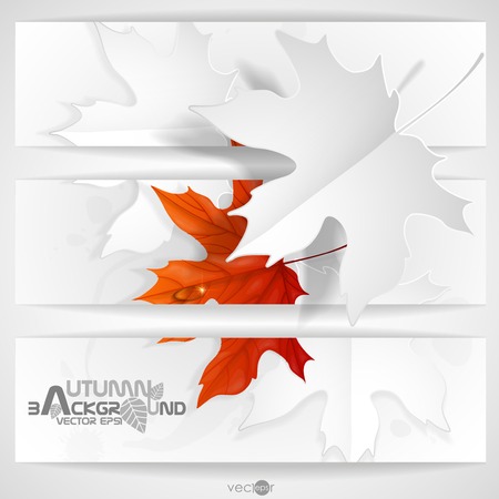 Autumn Leaves Backgroundのイラスト素材