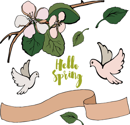 Delicious wedding flowers, pink flowers, greeting card templateのイラスト素材