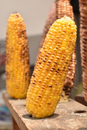 roasted corn with stickの写真素材