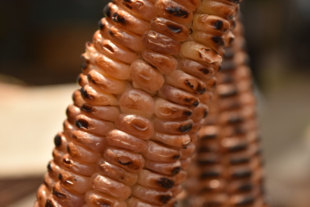 mexican grilled corn cobsの写真素材