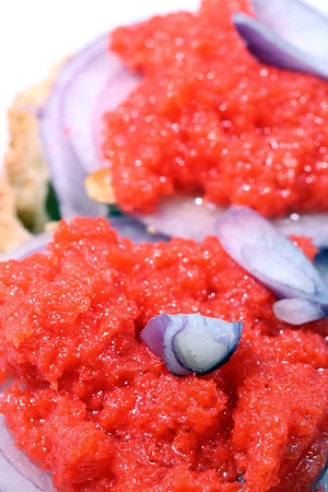 salmon, breadの写真素材