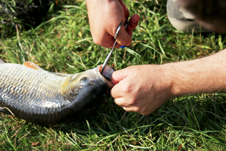 This is a man on the river while fishingの写真素材