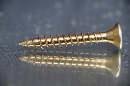 Detail of a drywall screwの写真素材