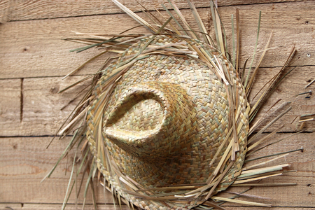 Colorful bustle during a carnival parade in Bavariaの写真素材