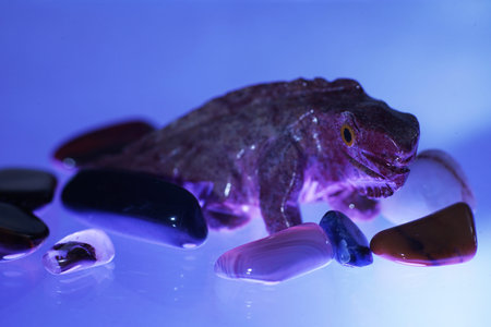 An ornate gem in the form of a lizardの写真素材