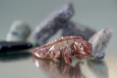 Auction of ammonite more than millions of years old called cephalopodsの写真素材