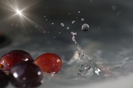 Grapes are fruits of the grapevine, individual fruits are called grape berriesの写真素材