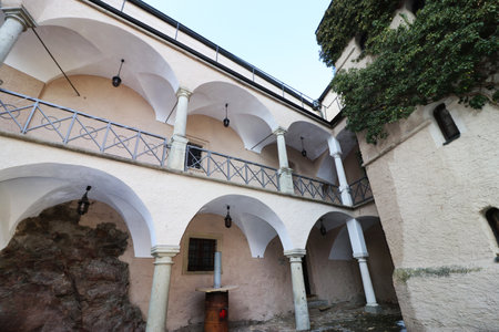 Falkenstein in the Upper Palatinate with the landmark of Falkenstein Castleのeditorial素材