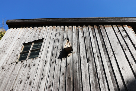 Falkenstein in the Upper Palatinate with the landmark of Falkenstein Castleの写真素材