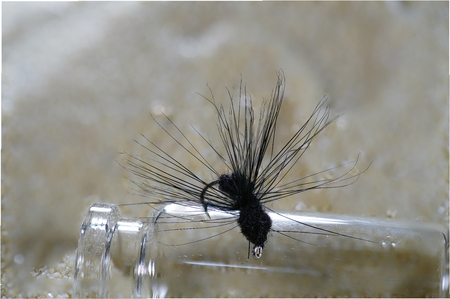 Artificial fly for fishing for trout and other predatorsの写真素材