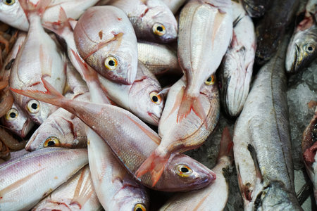 Fresh fish photographed on a fish market in Portugal