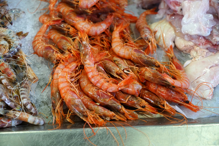 Freshly caught shrimps photographed at a fish market in Portugalの写真素材
