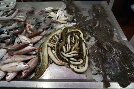 Fresh fish photographed on a fish market in Portugal
