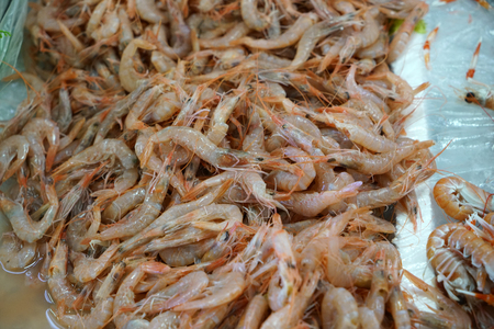 Freshly caught shrimps photographed at a fish market in Portugalの写真素材