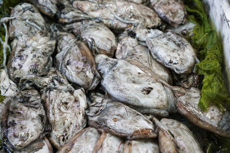 Fresh fish photographed on a fish market in Portugal