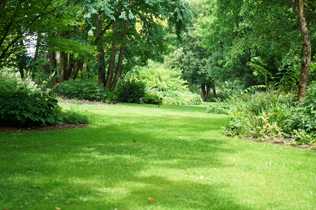 A professional irrigation system pours your plants individually and your lawn evenly.の写真素材