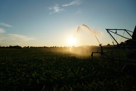 Long lasting drought in Germany due to lack of rain in agriculture requires artificial irrigationの写真素材