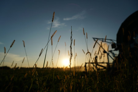 Long lasting drought in Germany due to lack of rain in agriculture requires artificial irrigation