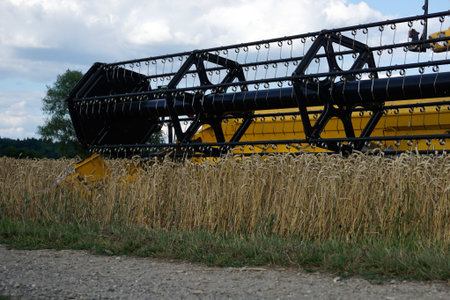 Long lasting drought in Germany due to lack of rain in agriculture requires artificial irrigation