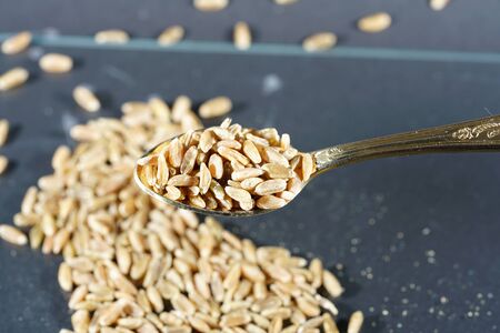 Green kernel is the spelled, which is harvested semi-mature and then dried artificiallyの写真素材