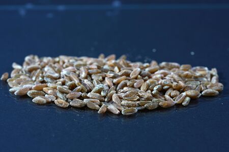 Green kernel is the spelled, which is harvested semi-mature and then dried artificiallyの写真素材