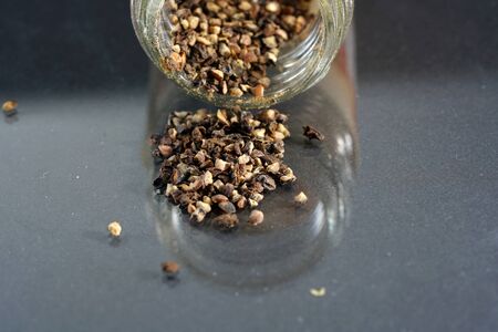 Pepper was a precious commodity and was temporarily outweighed by gold.の写真素材